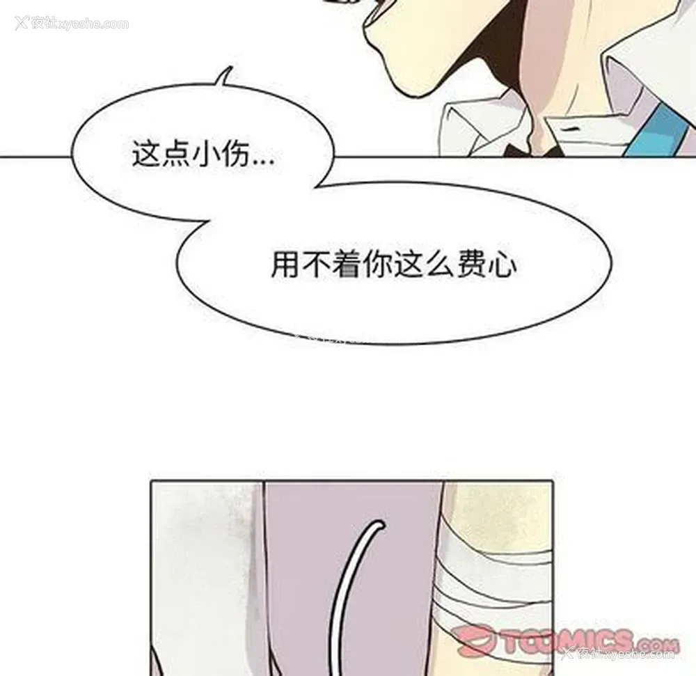 54P - 野性之城