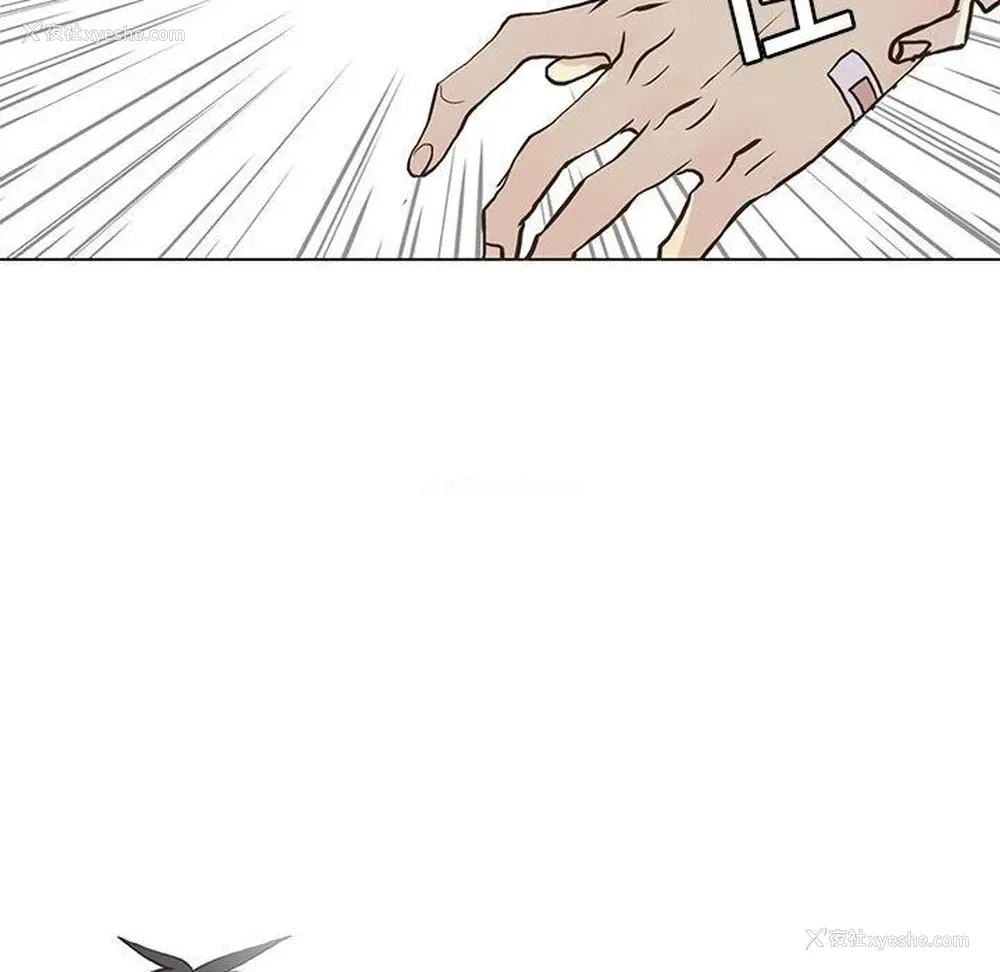 28P - 野性之城