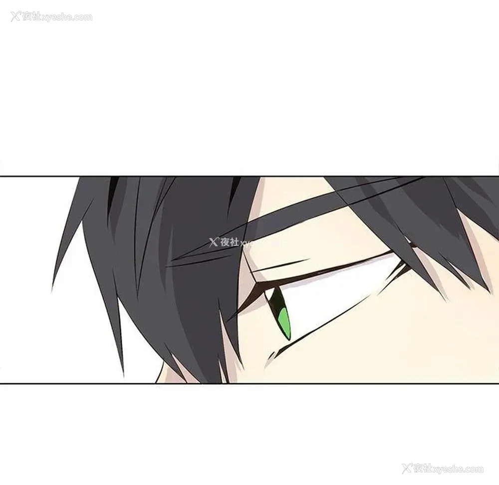 43P - 野性之城