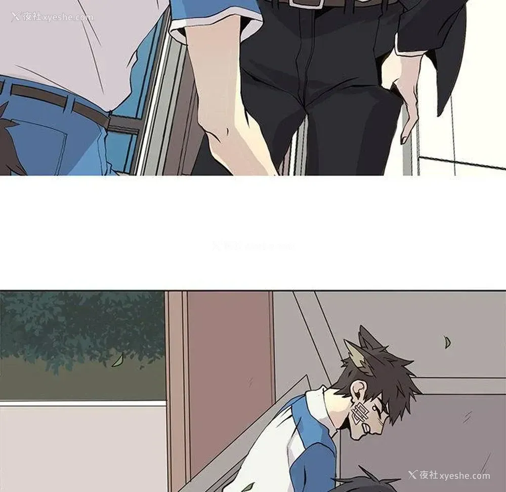 48P - 野性之城