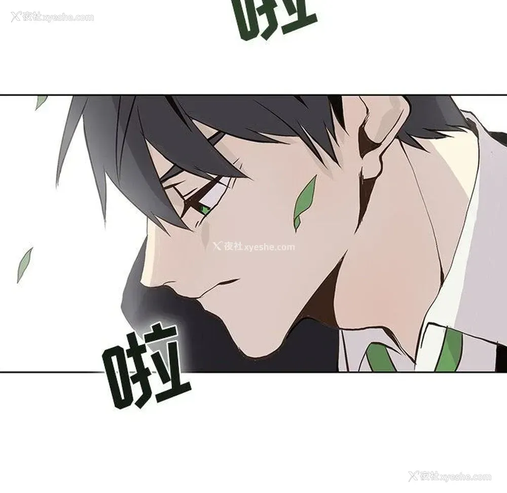53P - 野性之城
