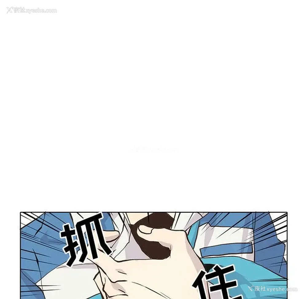 40P - 野性之城