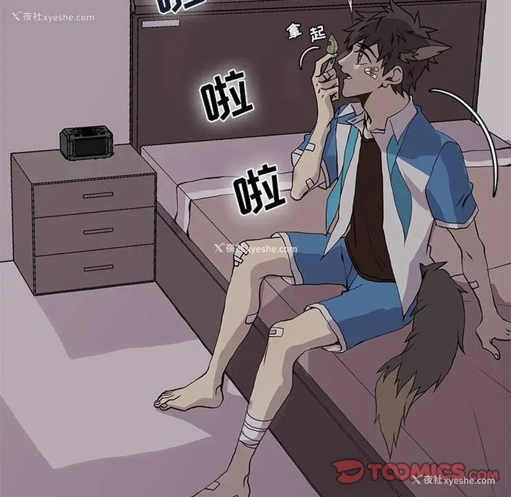 62P - 野性之城