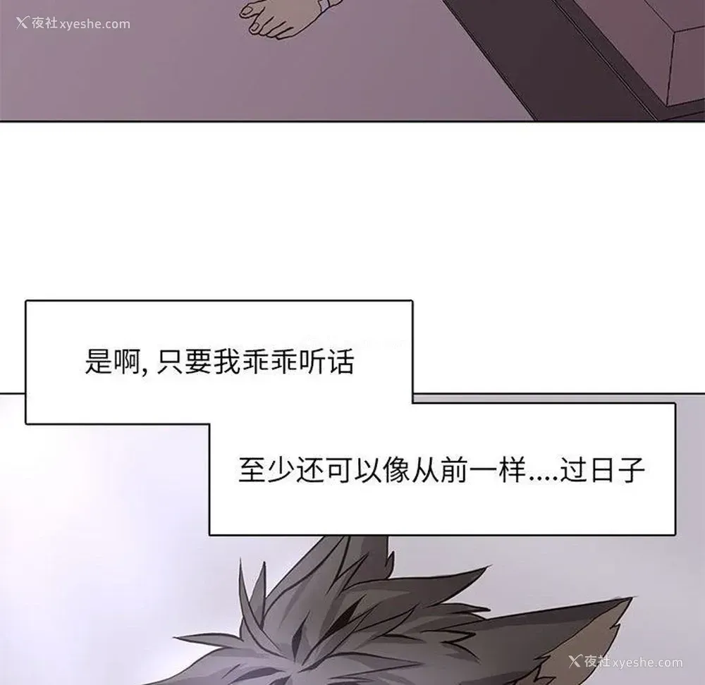 63P - 野性之城