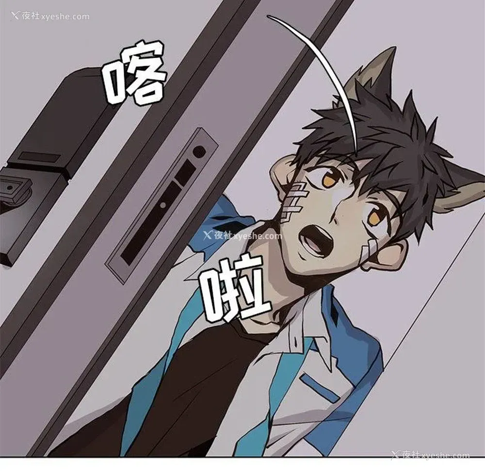 16P - 野性之城