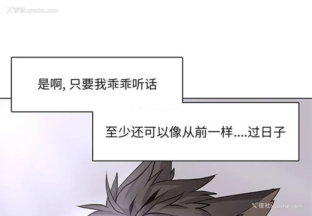 1P - 野性之城