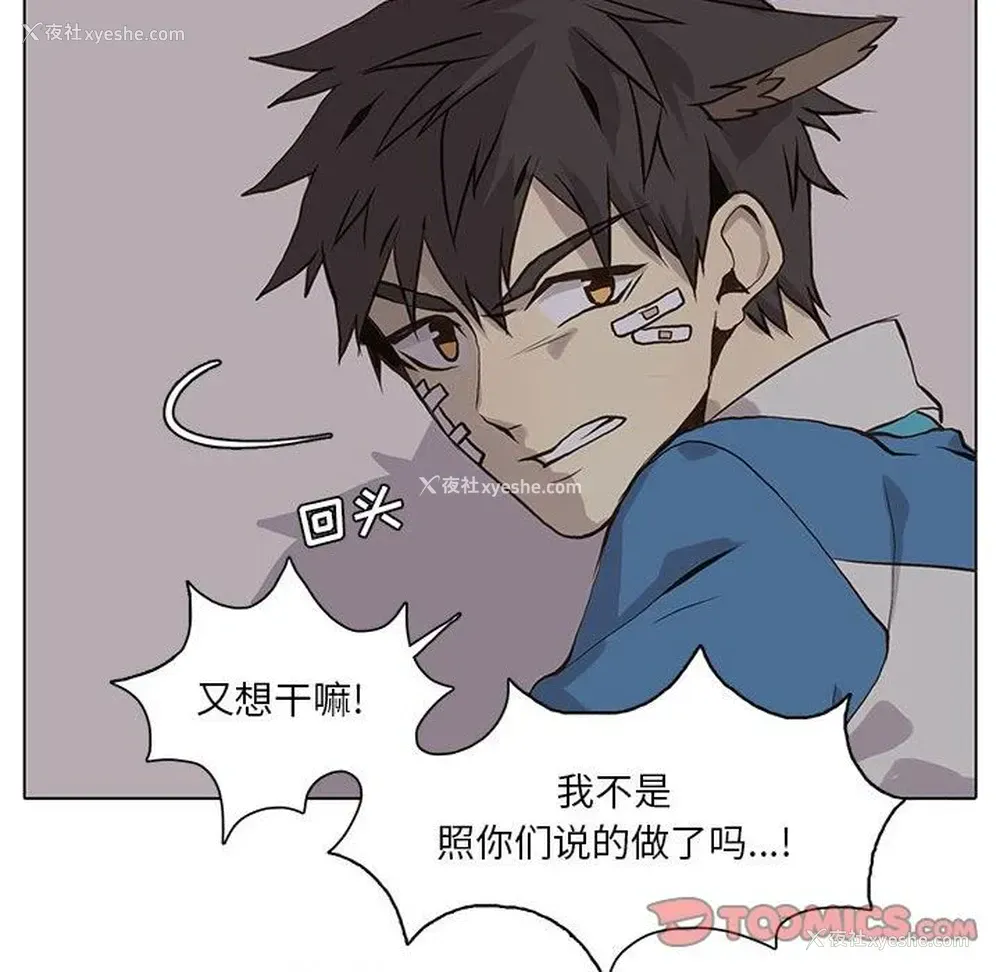 22P - 野性之城