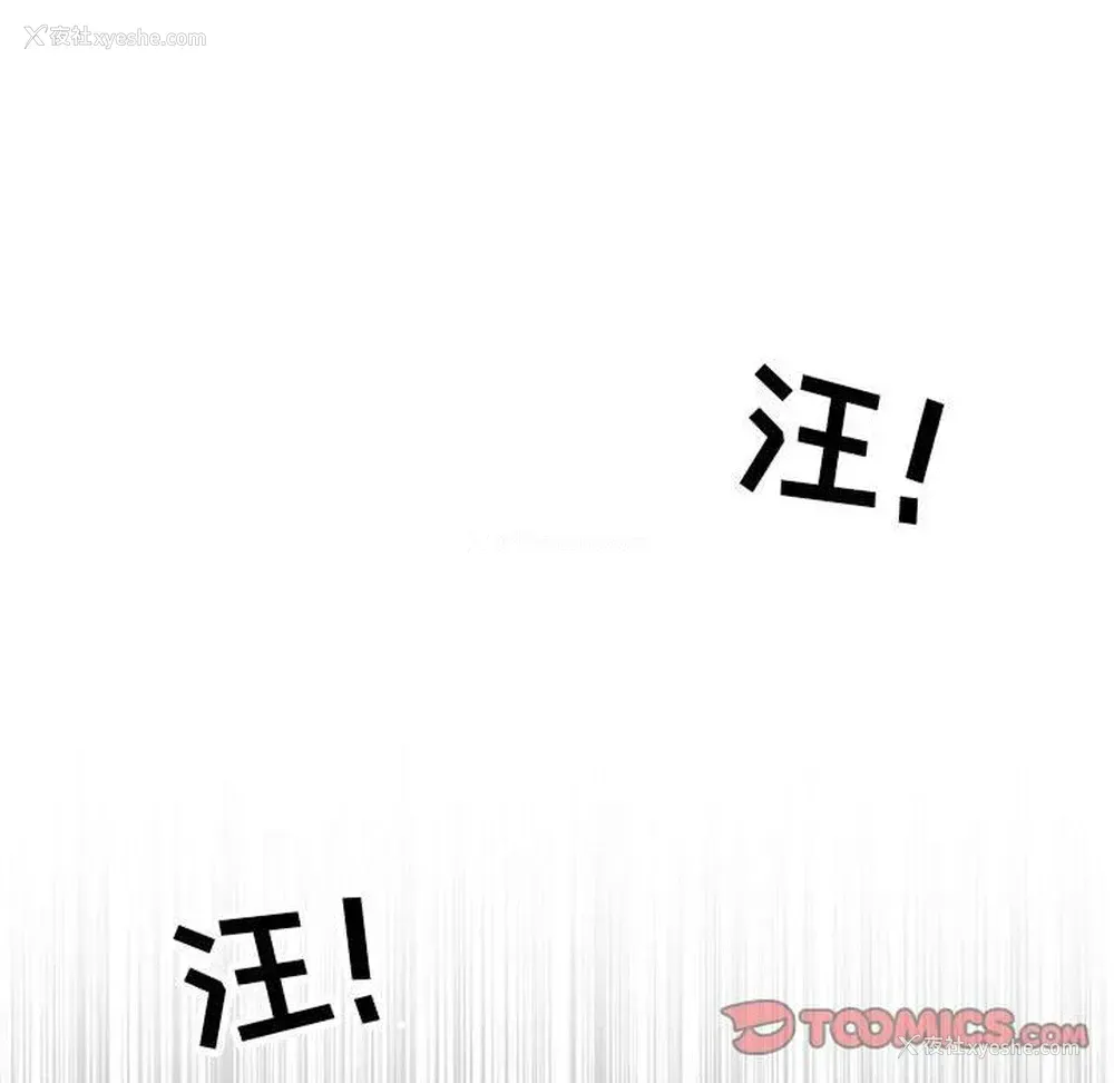 42P - 野性之城