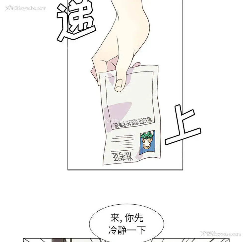 29P - 野性之城