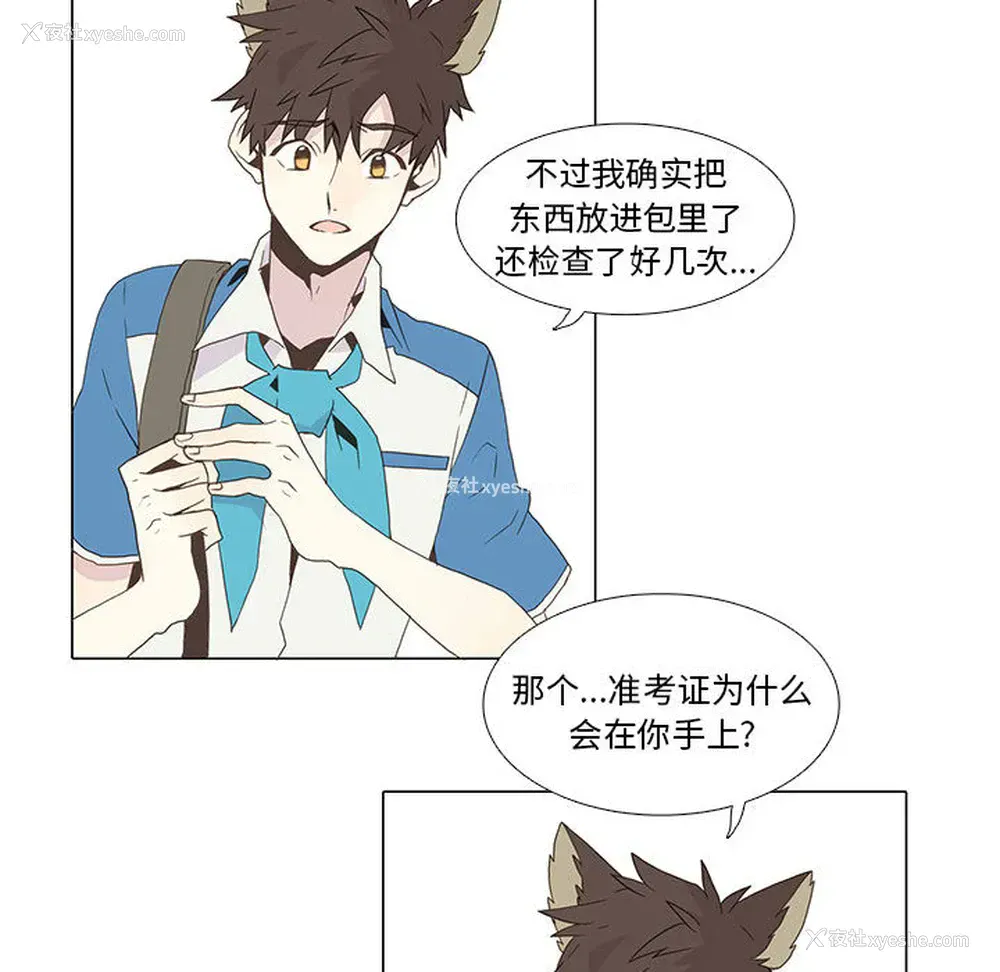 41P - 野性之城