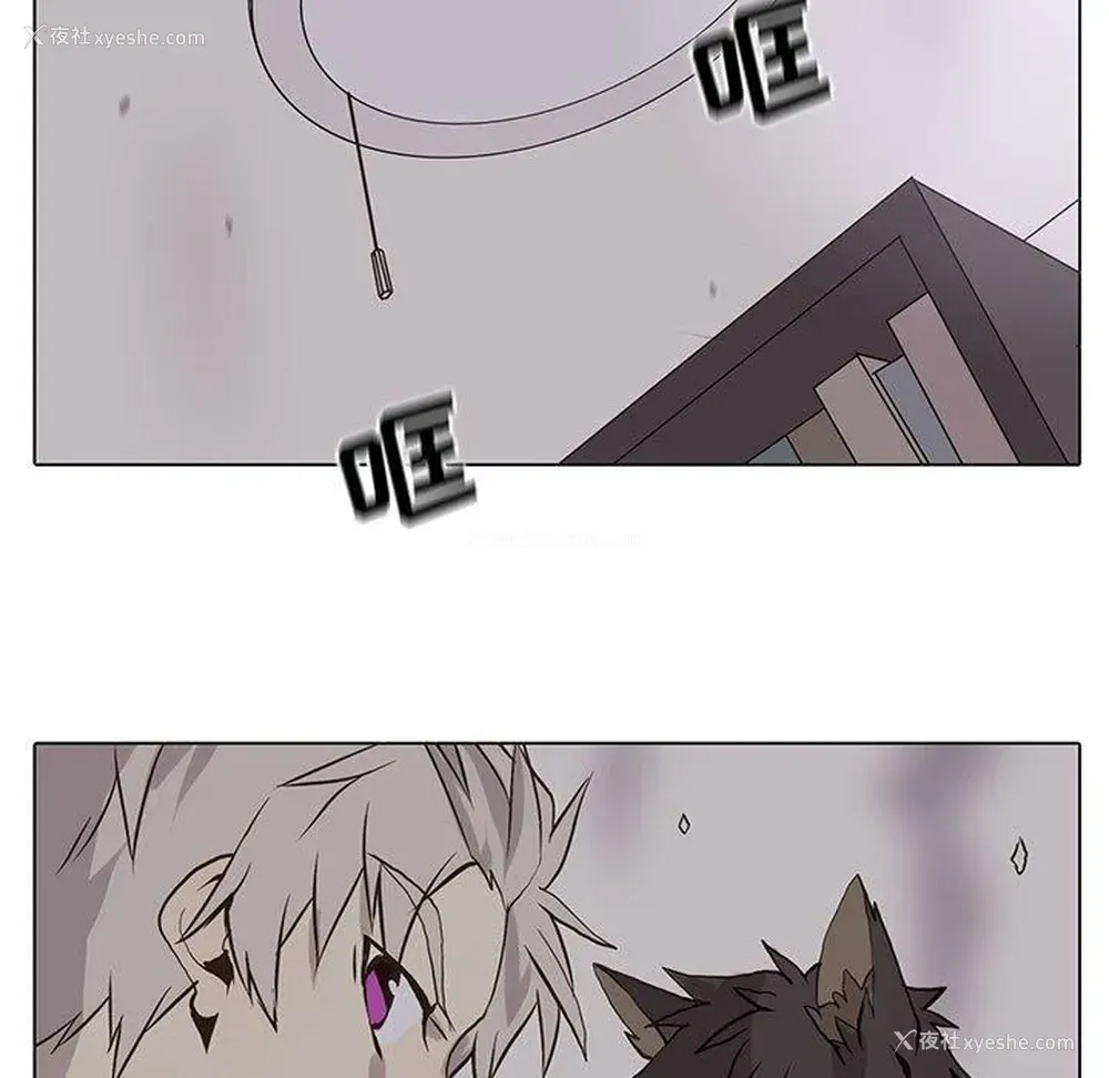 9P - 野性之城