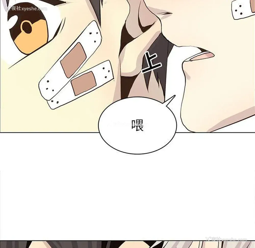 23P - 野性之城