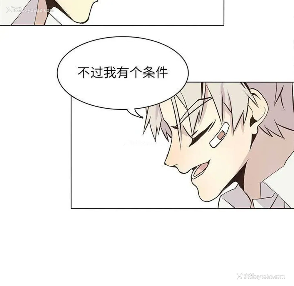 27P - 野性之城