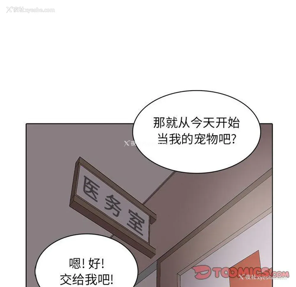32P - 野性之城
