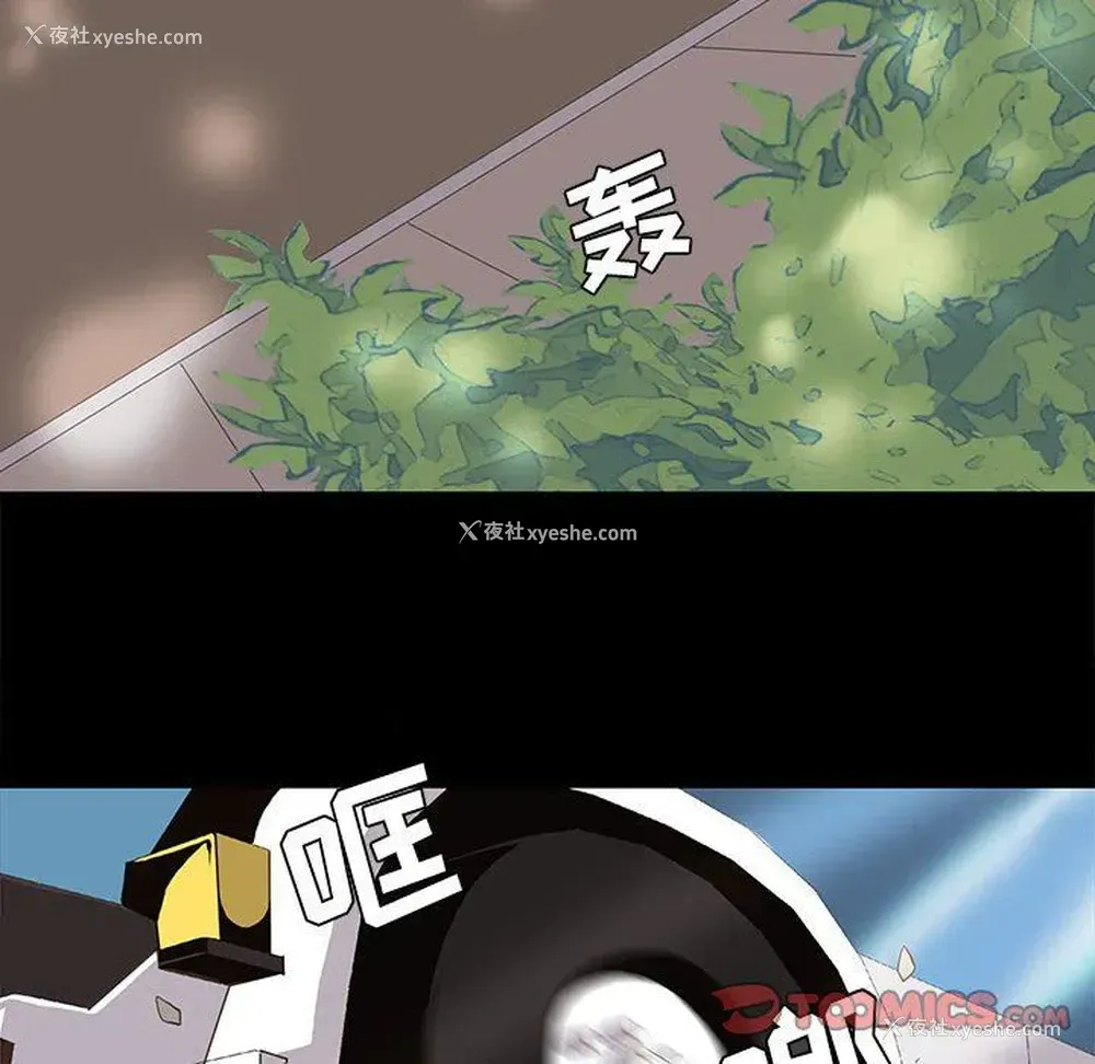 6P - 野性之城