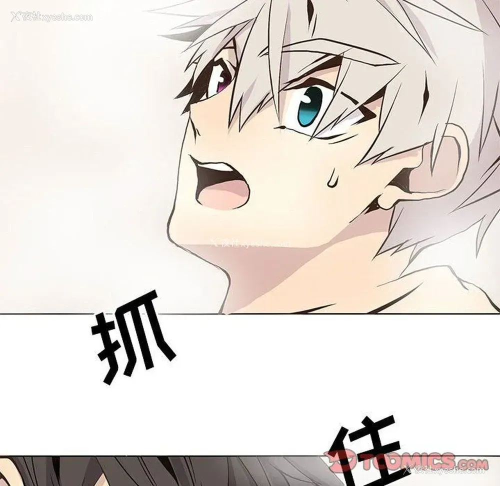 10P - 野性之城