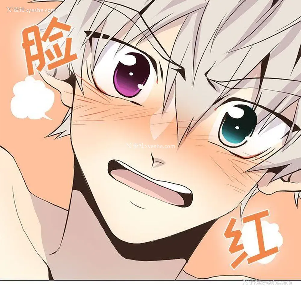19P - 野性之城