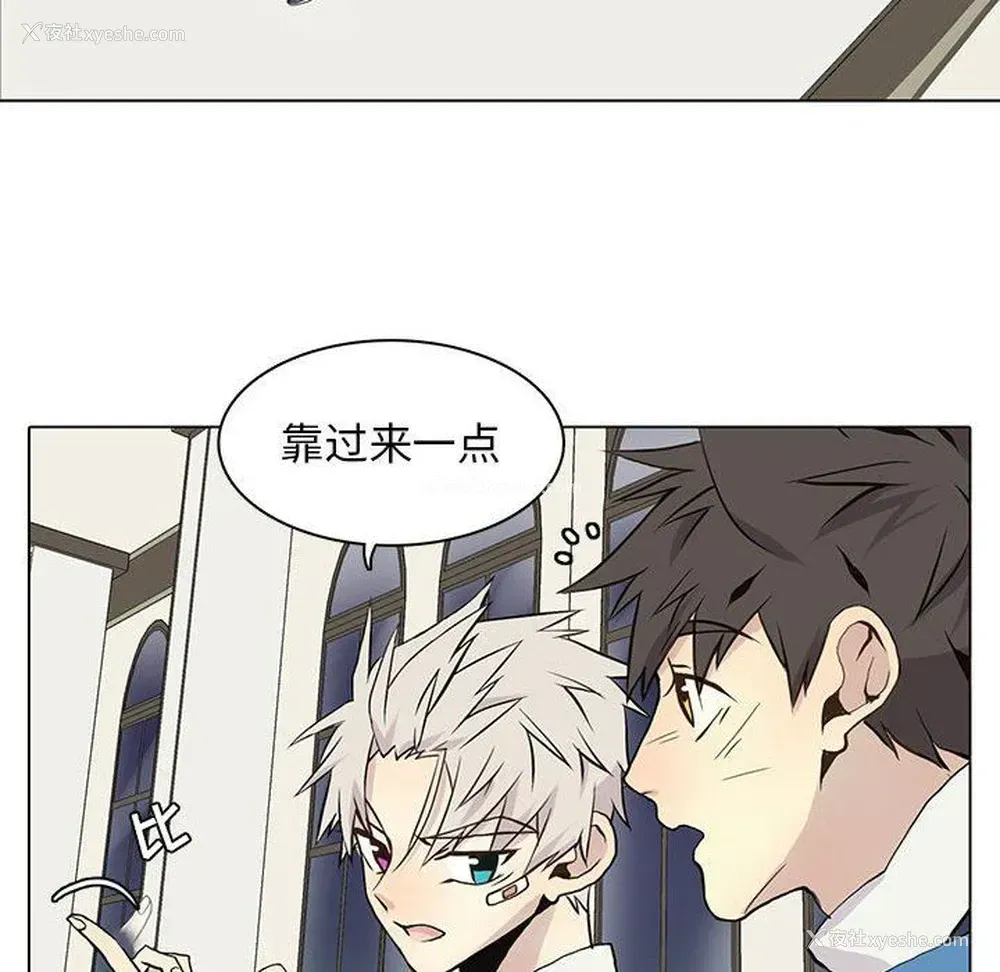 29P - 野性之城