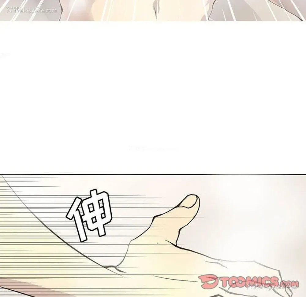 8P - 野性之城