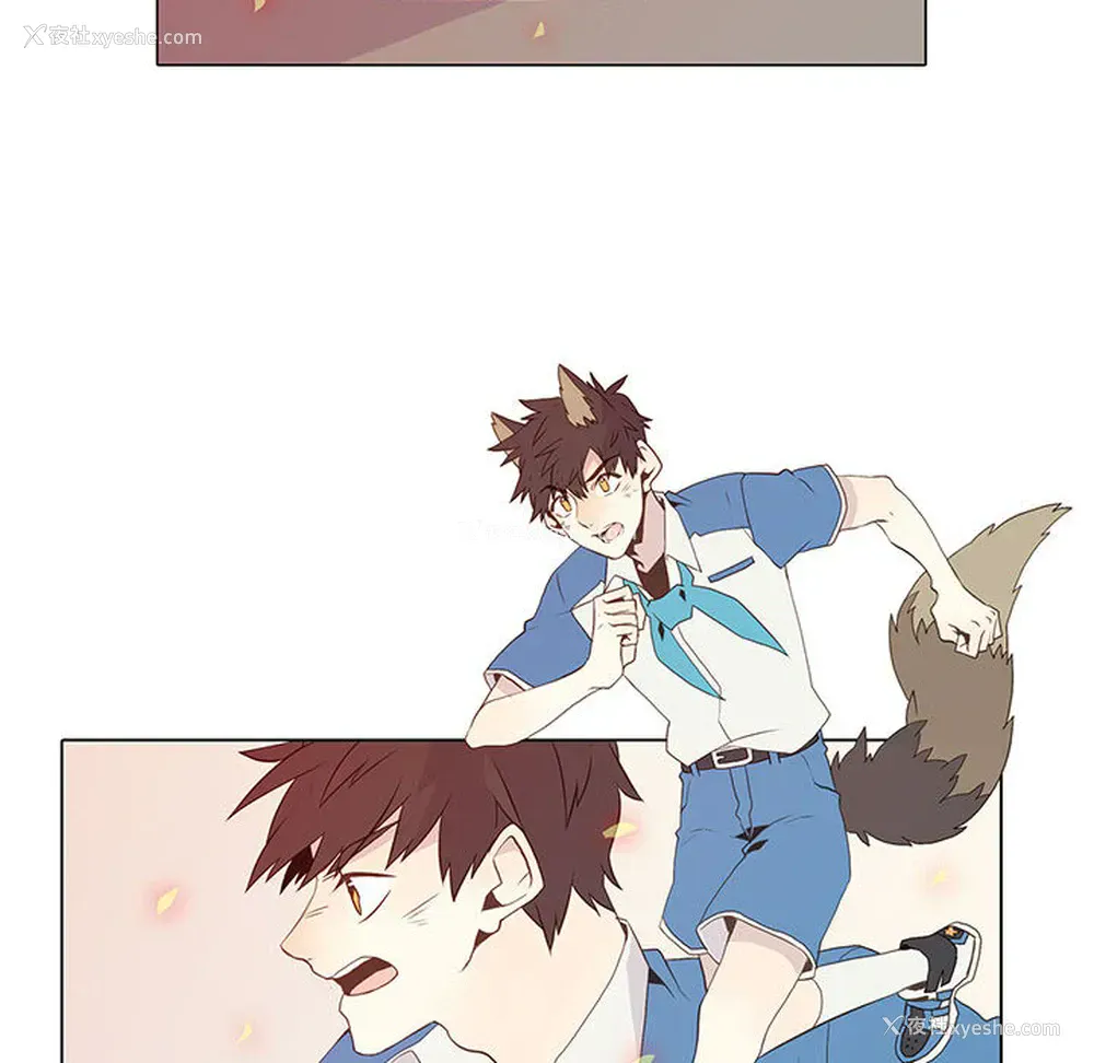 36P - 野性之城