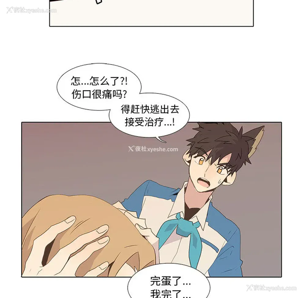 59P - 野性之城