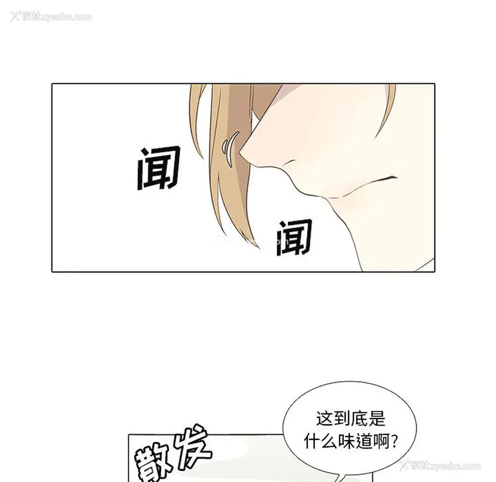 5P - 野性之城