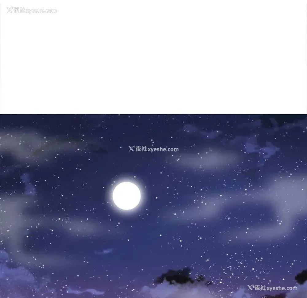 41P - 野性之城