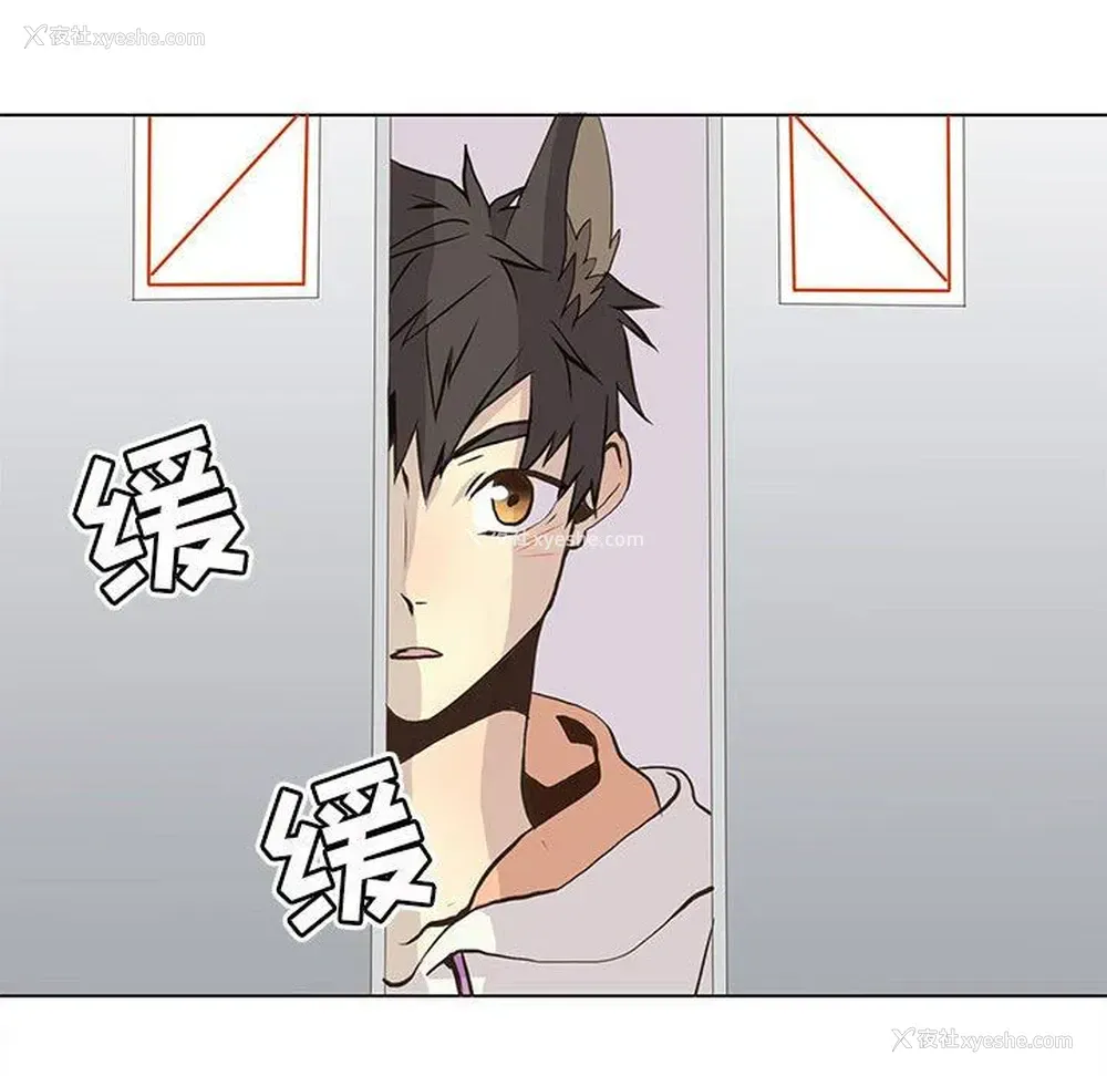 49P - 野性之城