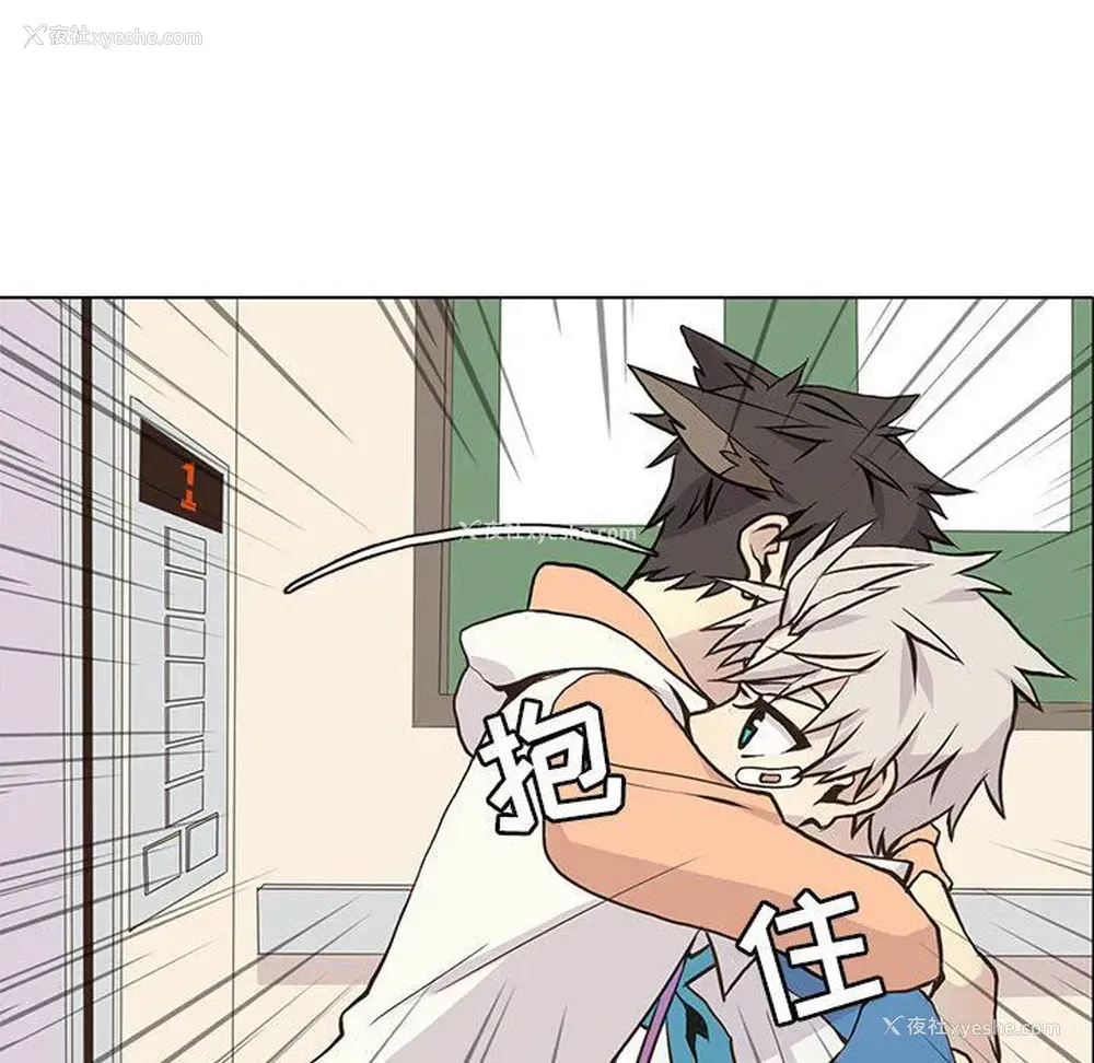 55P - 野性之城