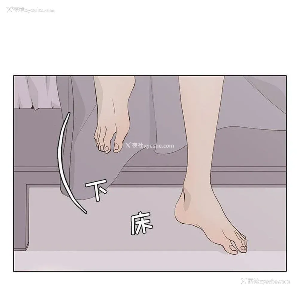 41P - 野性之城