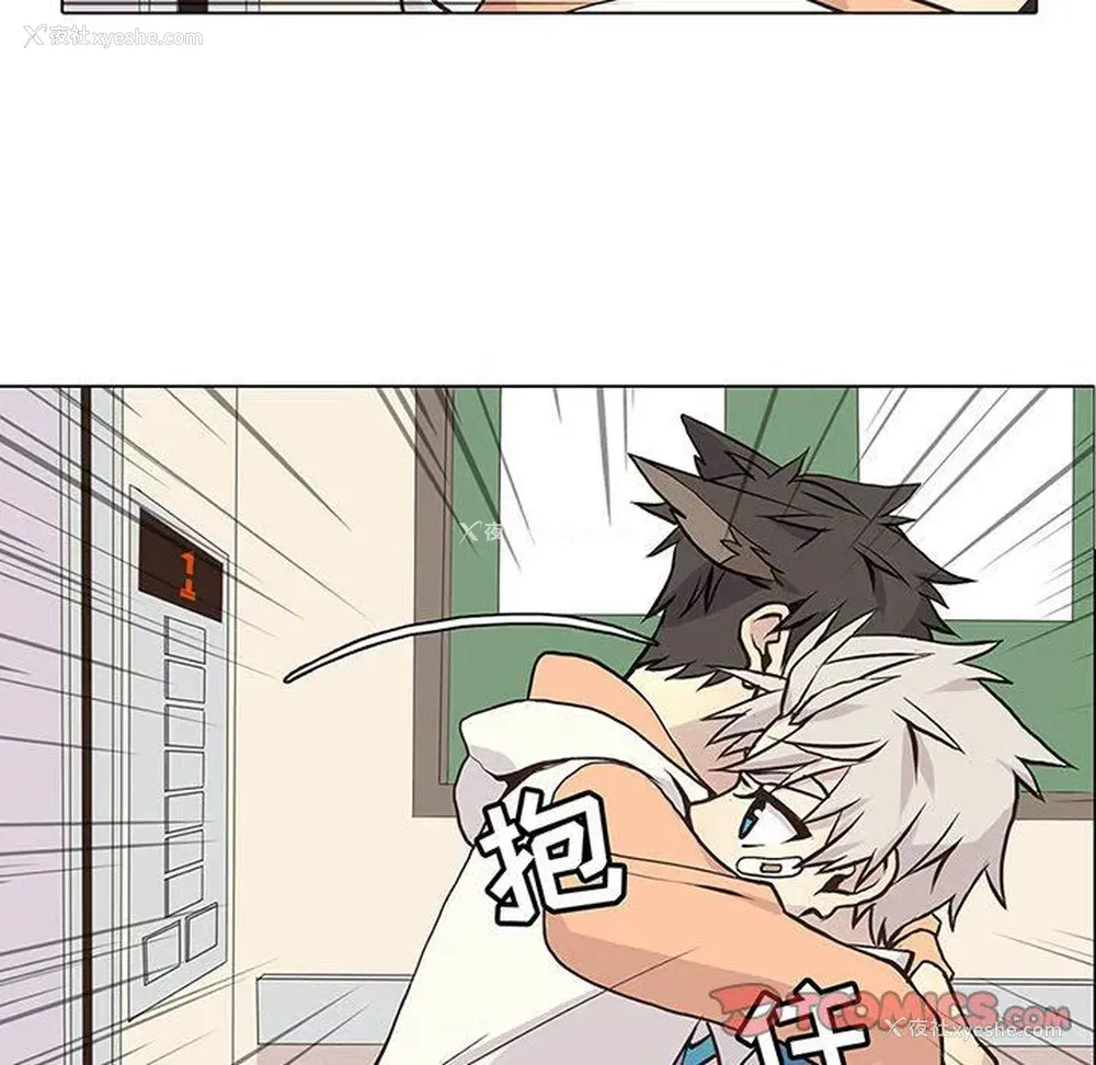 6P - 野性之城
