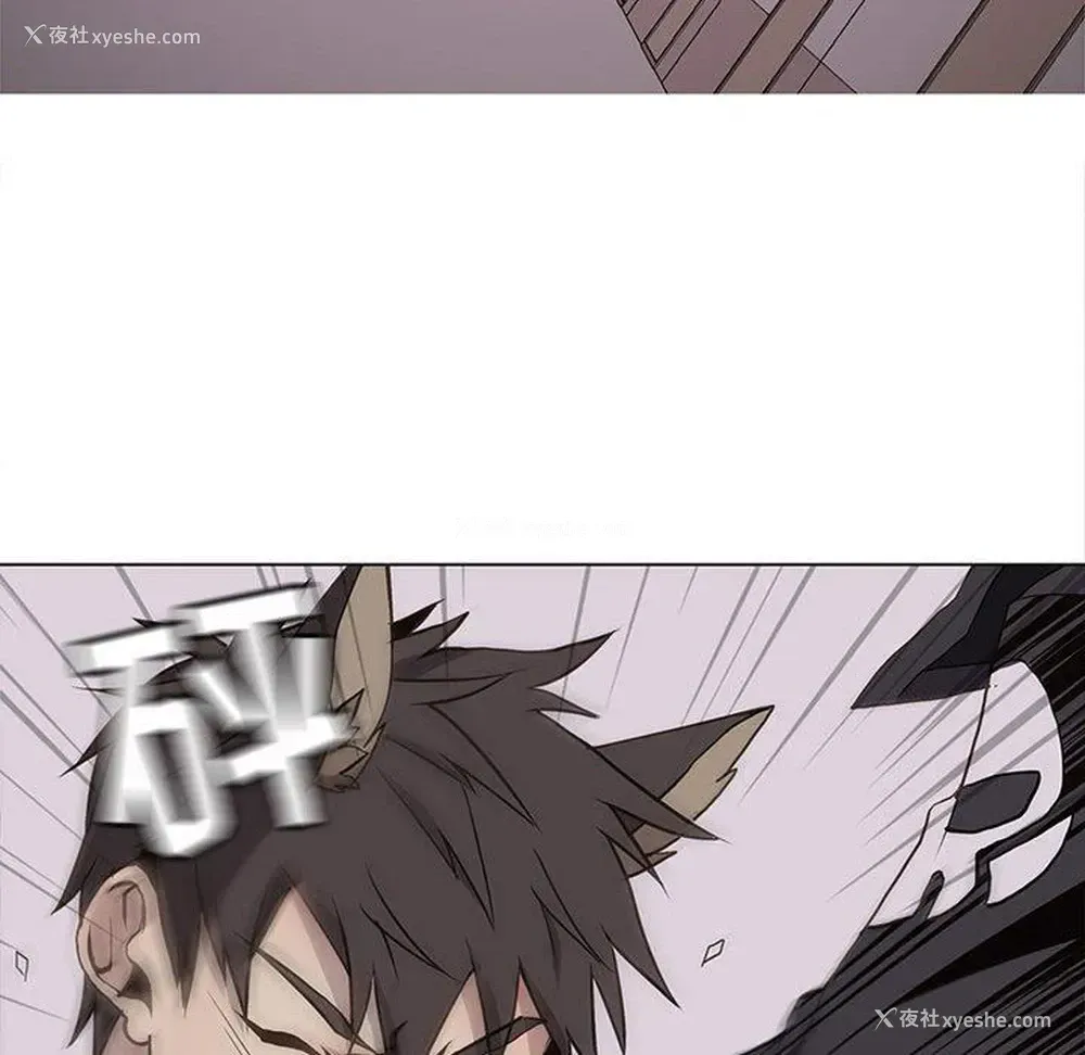 49P - 野性之城