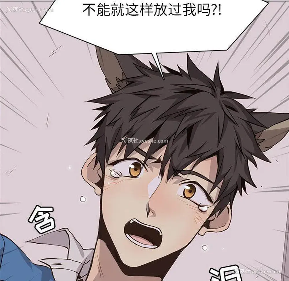 69P - 野性之城
