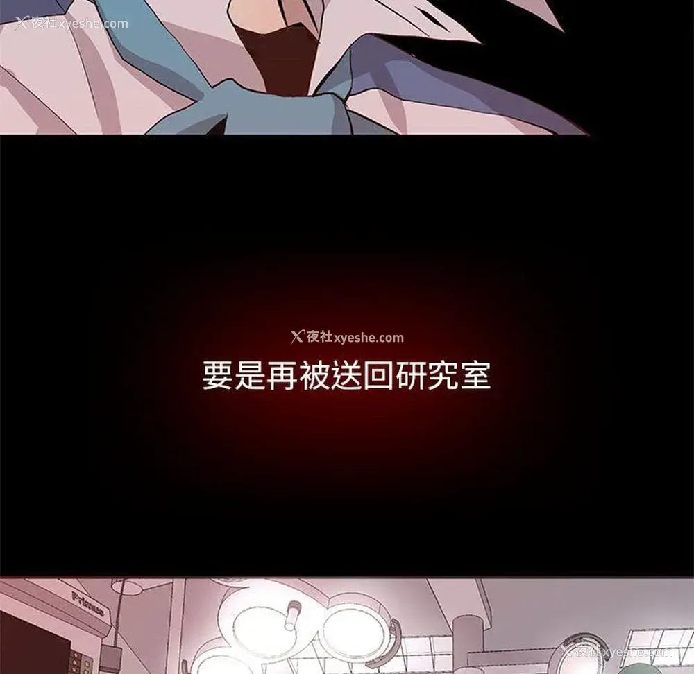 36P - 野性之城