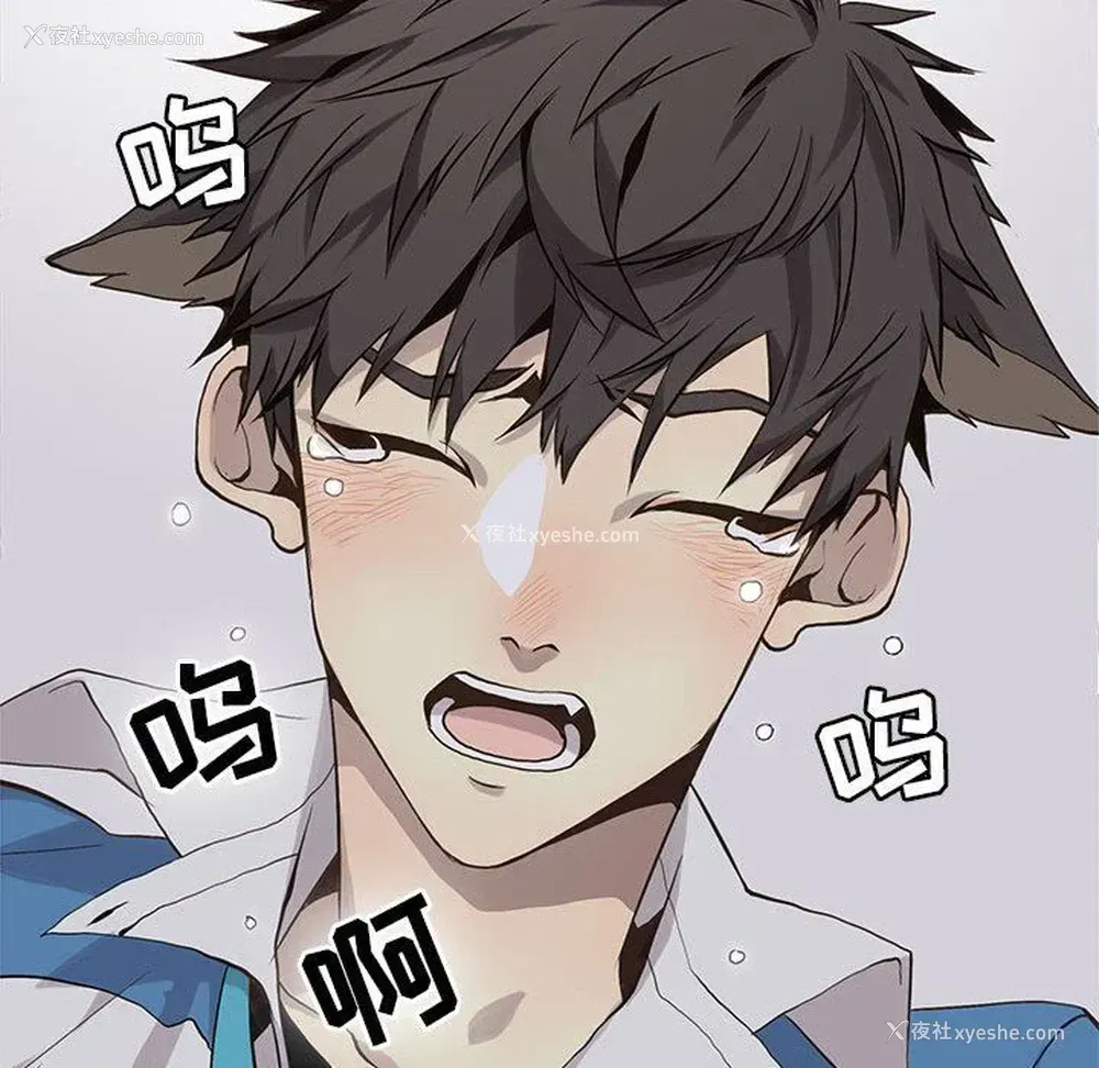 43P - 野性之城