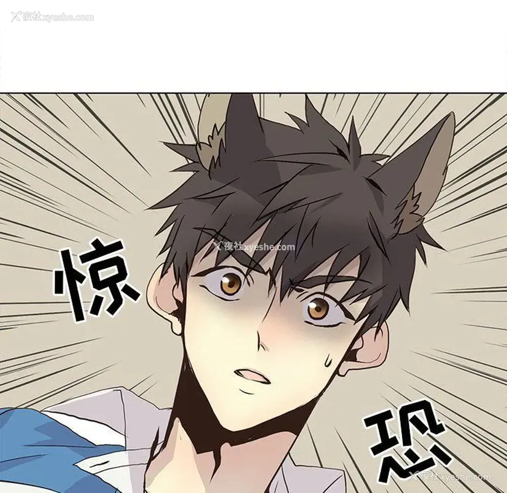 61P - 野性之城