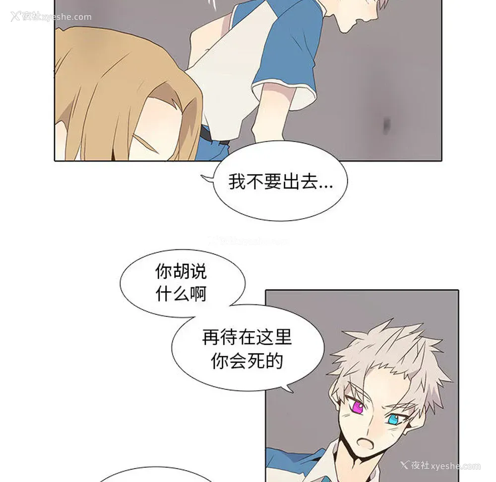 24P - 野性之城