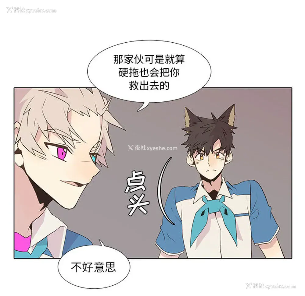 31P - 野性之城