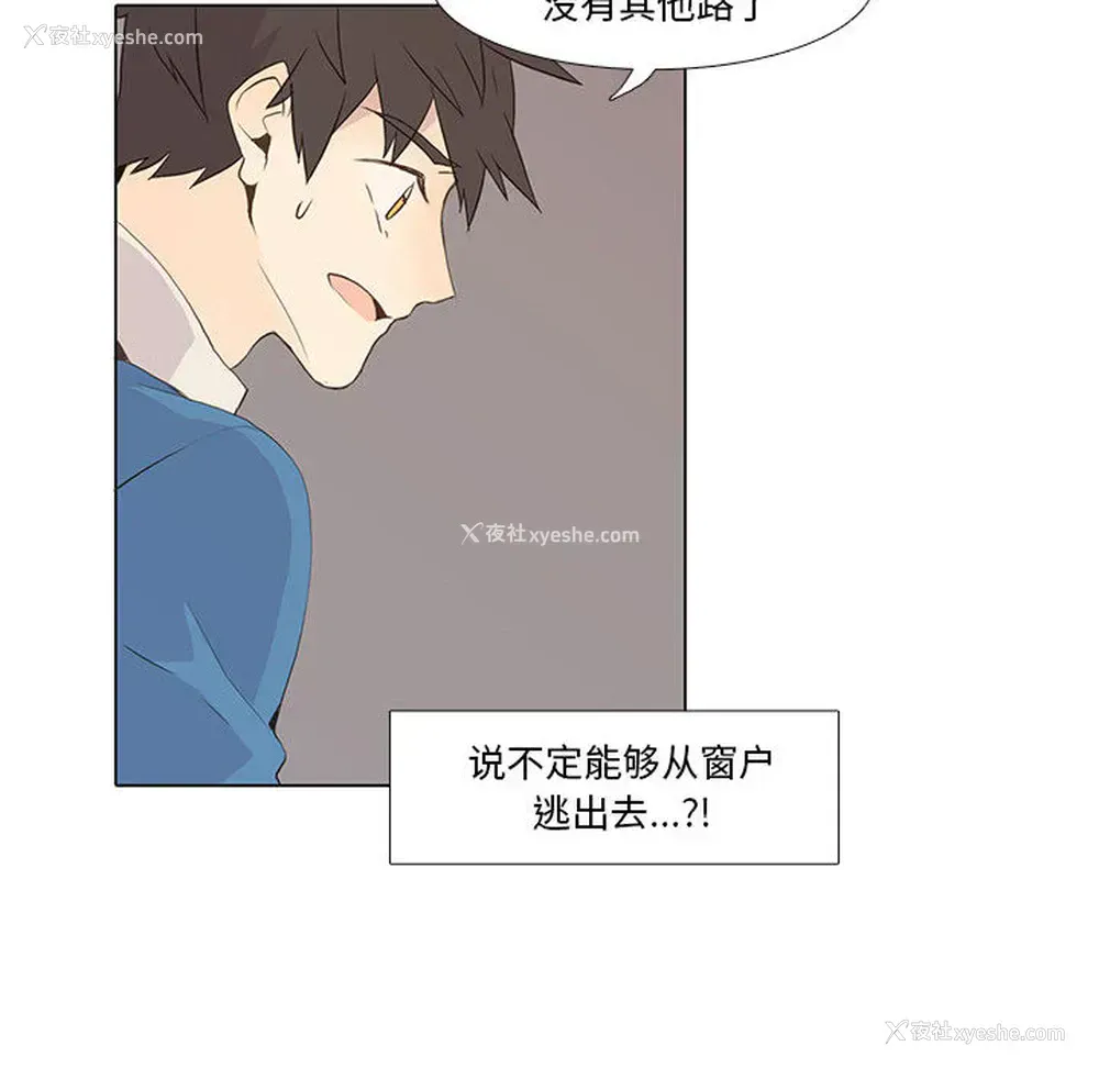 41P - 野性之城