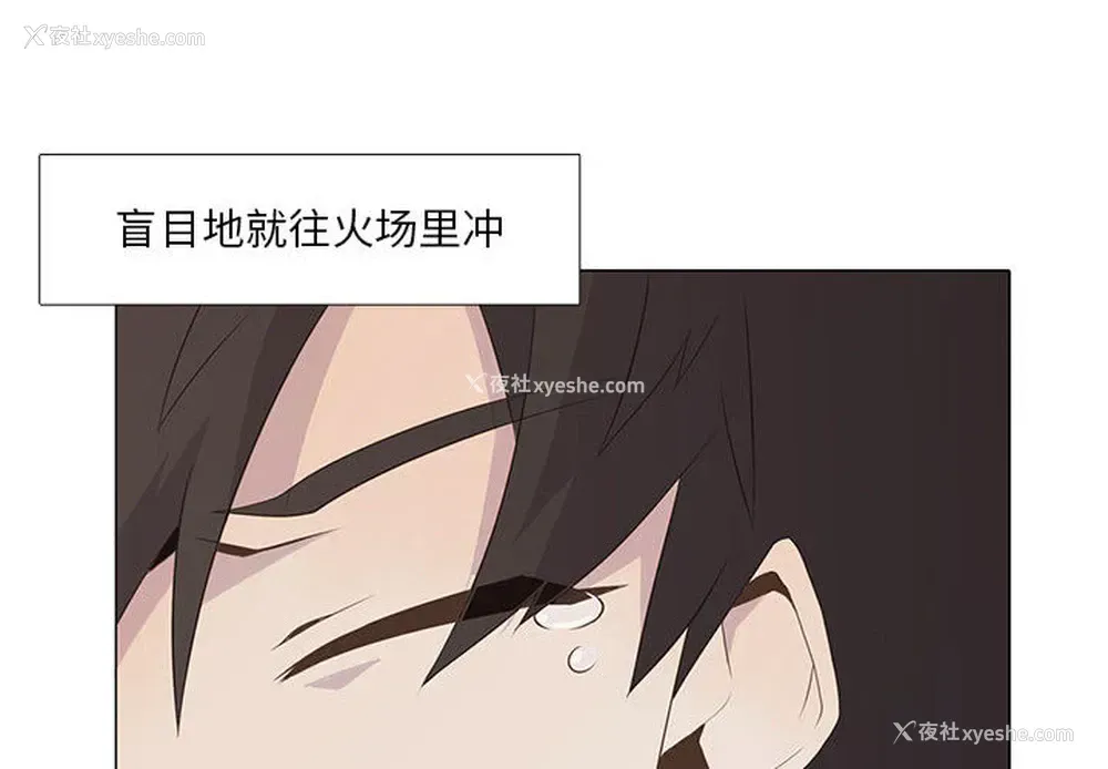 4P - 野性之城