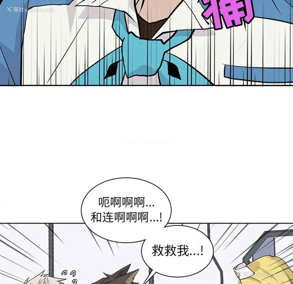 31P - 野性之城