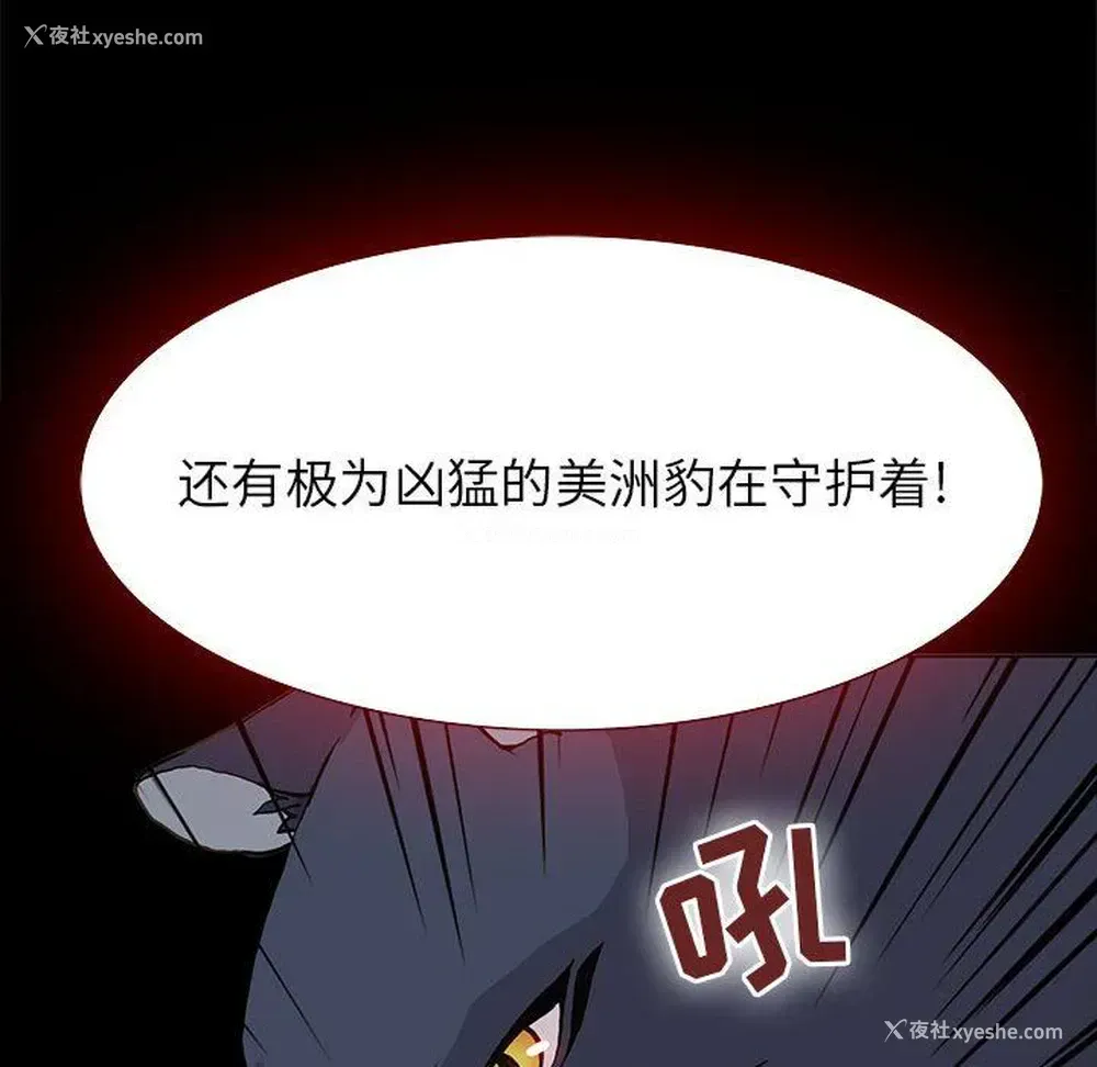 40P - 野性之城