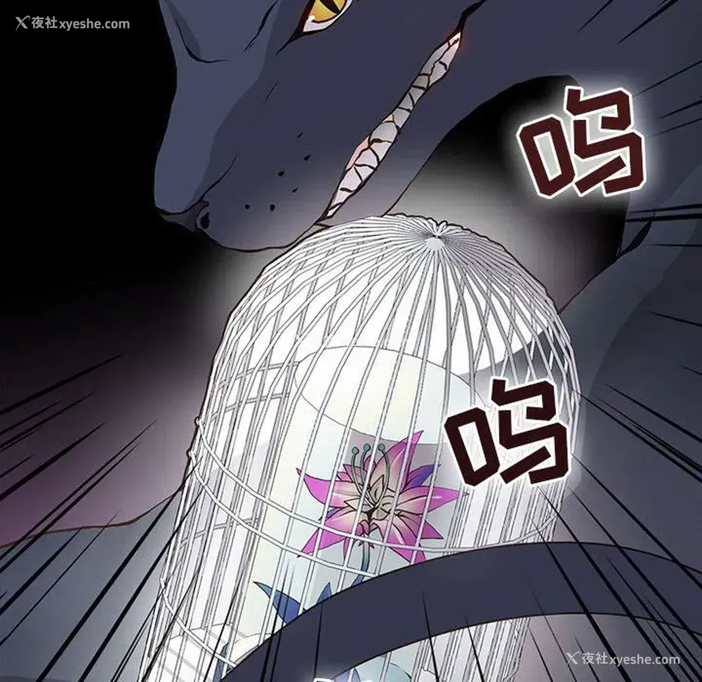 41P - 野性之城