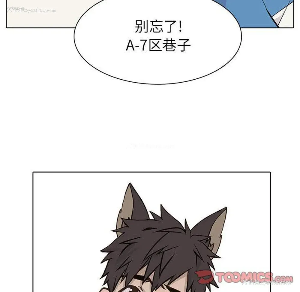 14P - 野性之城