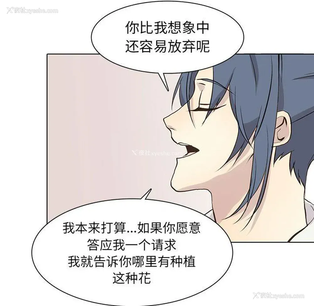 65P - 野性之城