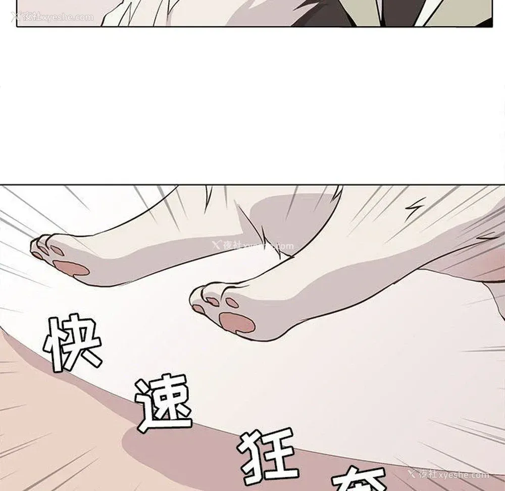 12P - 野性之城