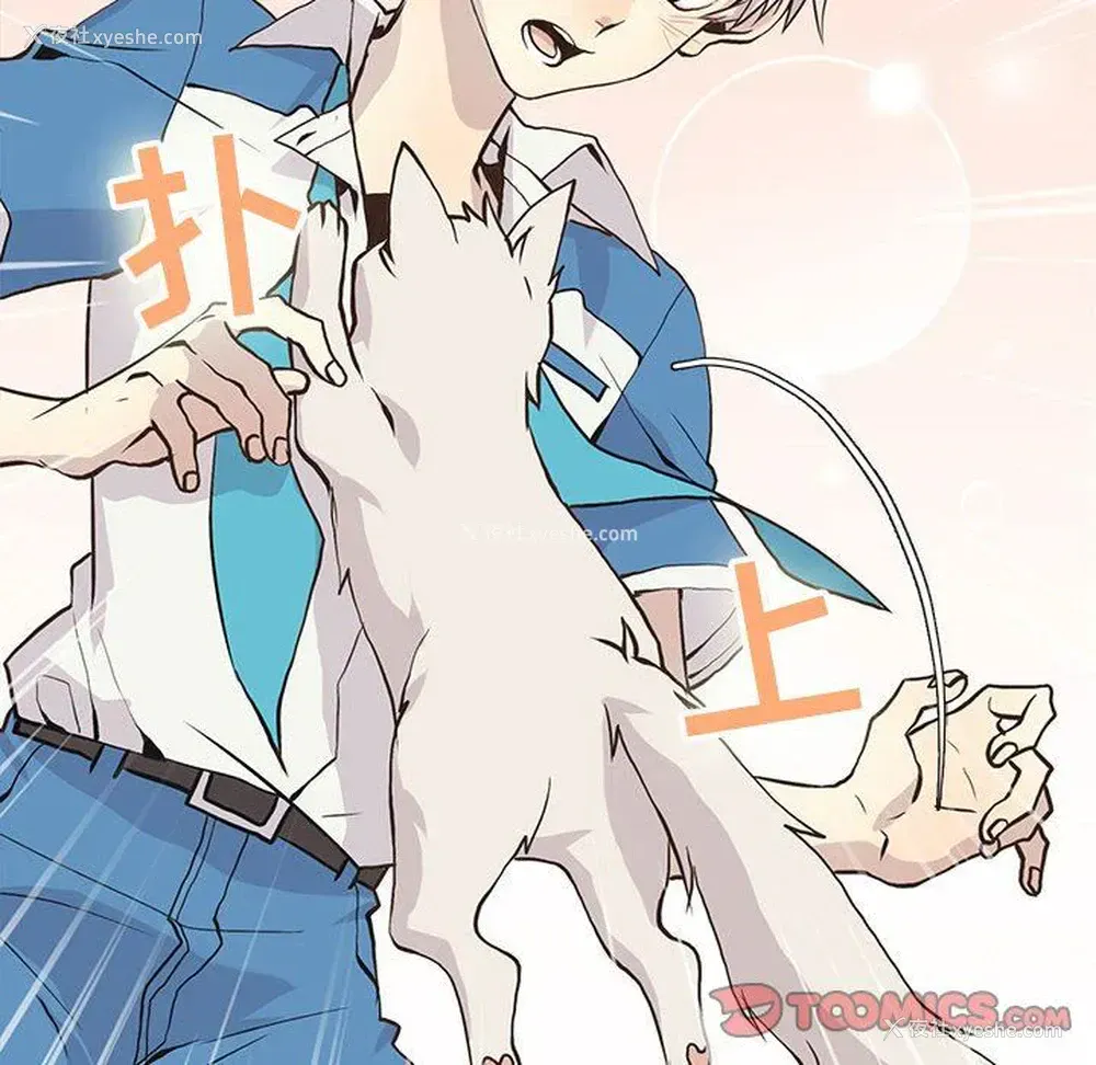14P - 野性之城