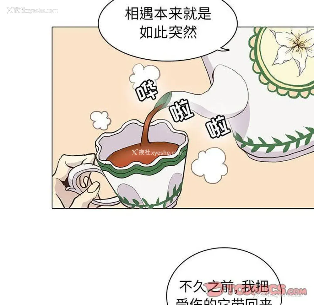 18P - 野性之城