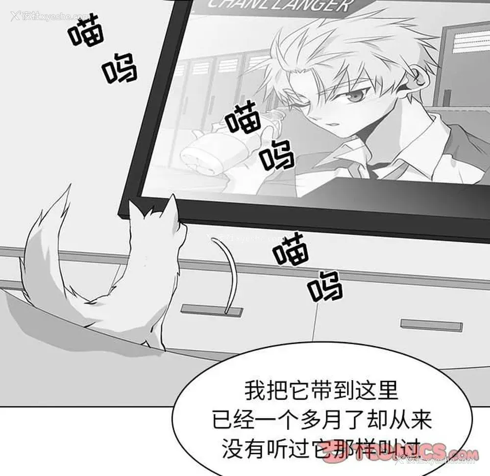 22P - 野性之城