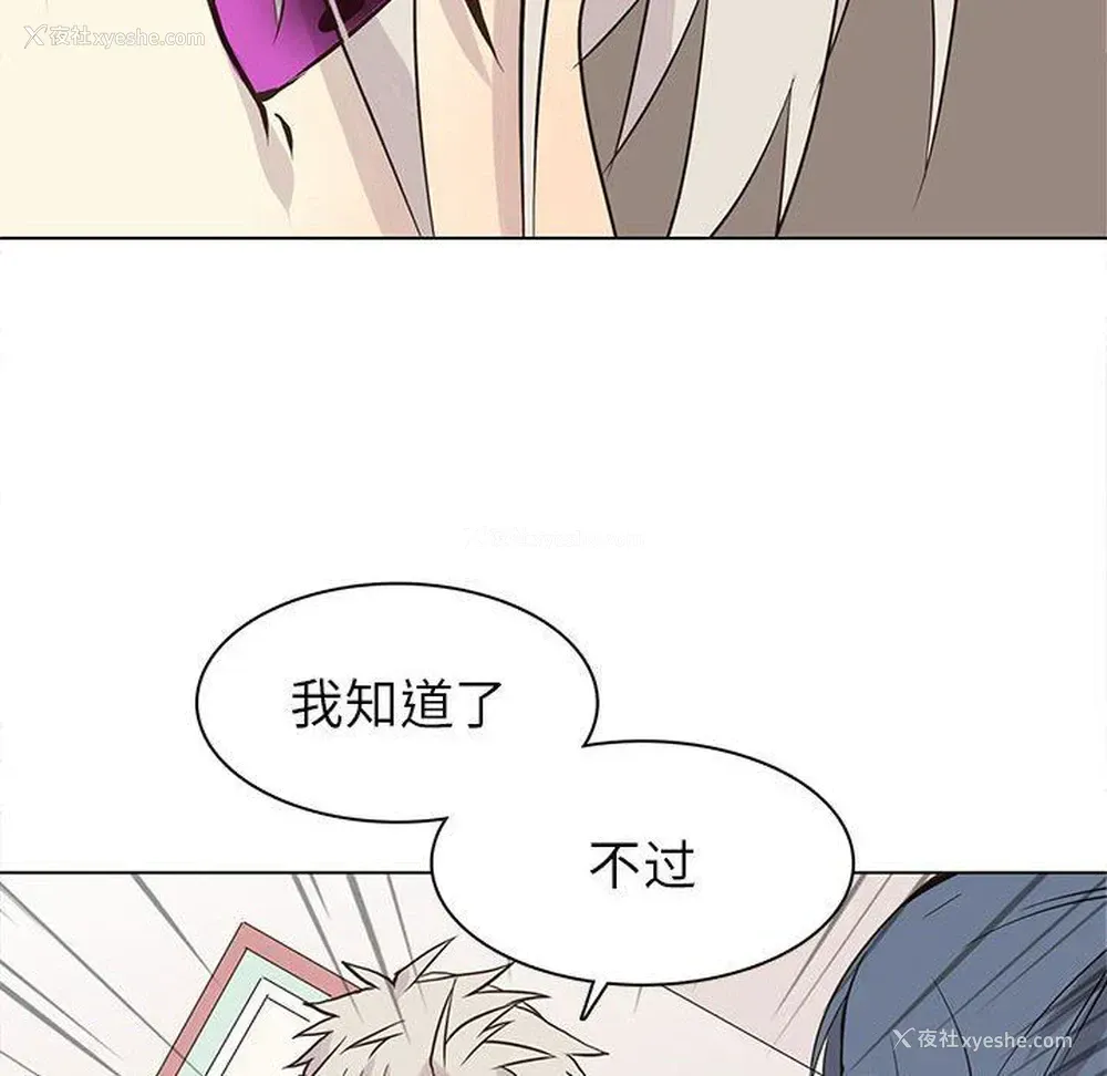 28P - 野性之城